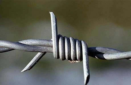 Weld Mesh